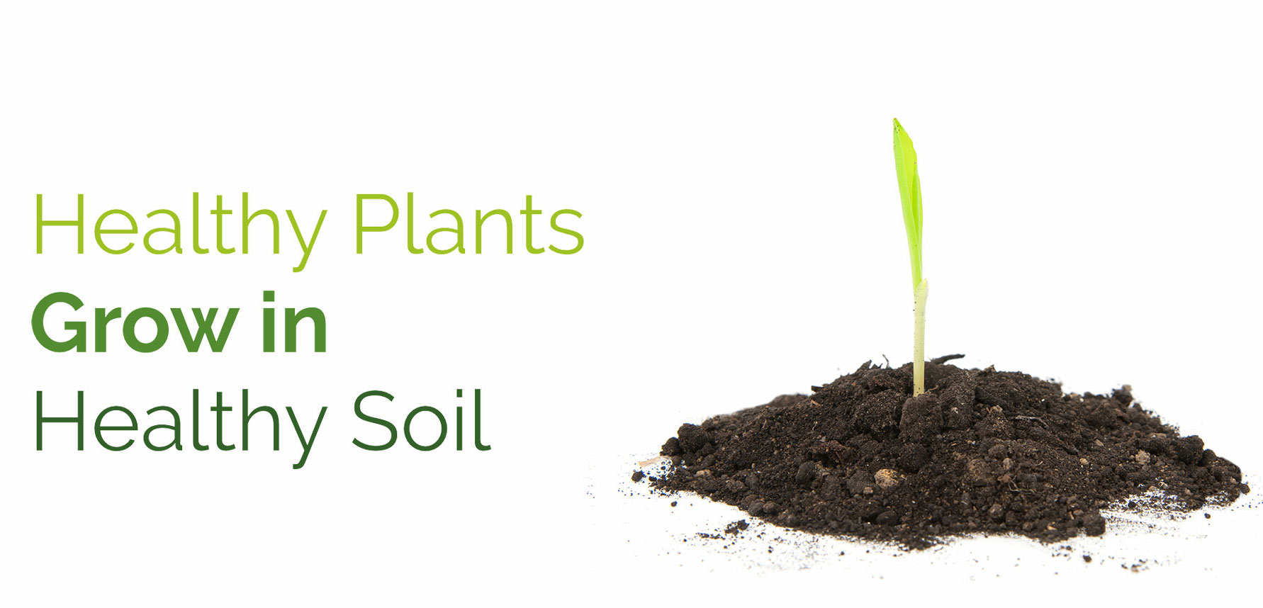 SOILHEALTH.CA – DIG-IT YOURSELF SOIL HEALTH TEST KIT