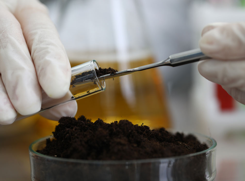 soil health soil nutrient testing, in a lab