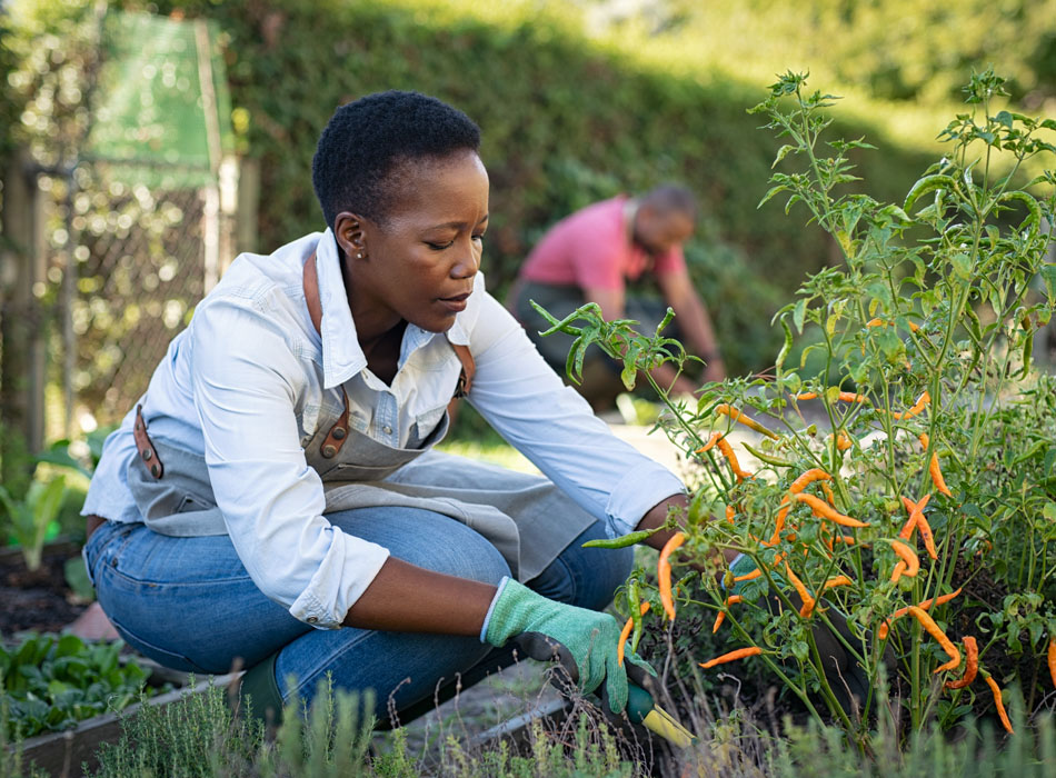 soil health, woman working in healthy soil