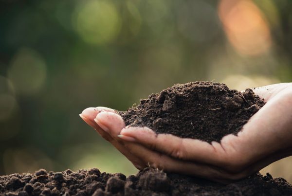 the 'dirt' on soil health, hand full of soil