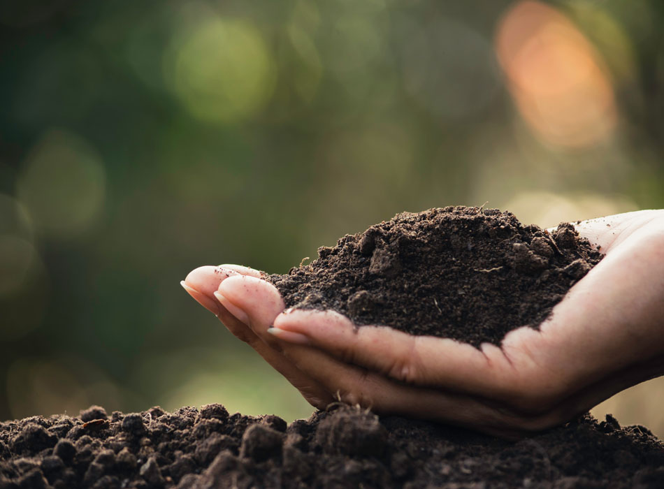 What’s the ‘dirt’ on soil health?